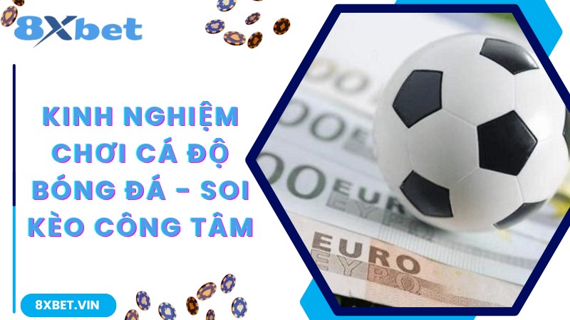 Kinh nghiệm chơi cá độ bóng đá - soi kèo công tâm